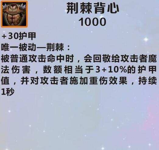 荆棘背心的英雄全面解析与实战应用